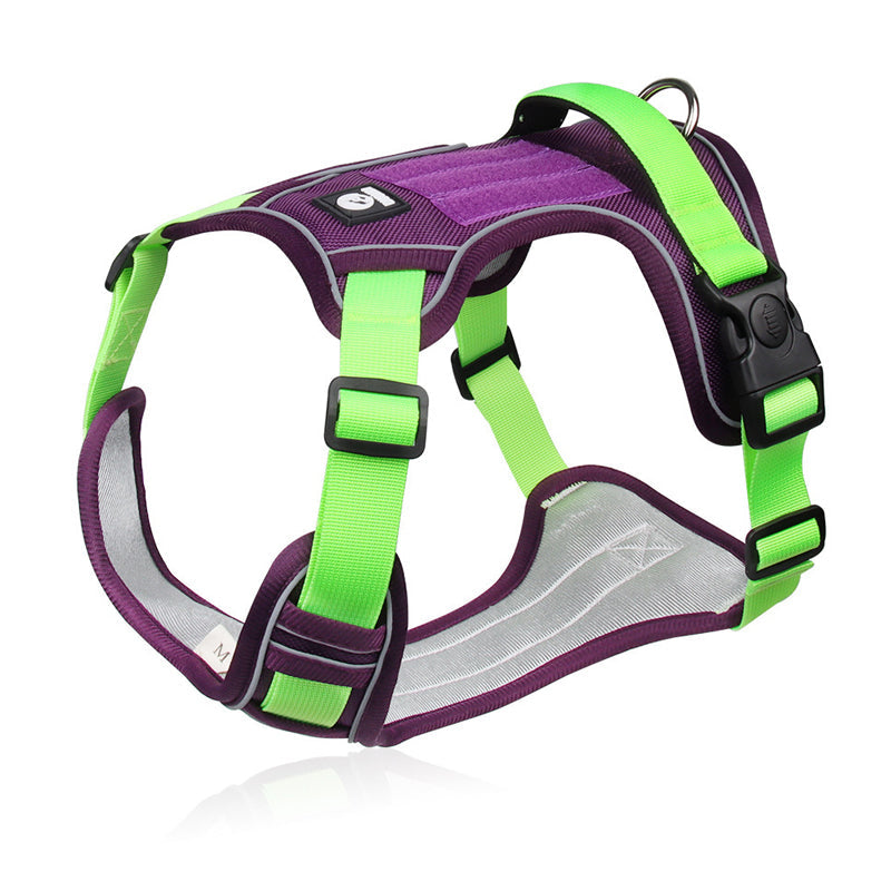 🐶 50% RABATT NU! 🛡️ Dragfri Hundsele med Koppel & LED-halsband – Säker & Bekväm ✨