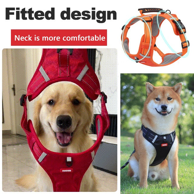 🎉Hot Sale🐶Sele uten trekk for kjæledyr 