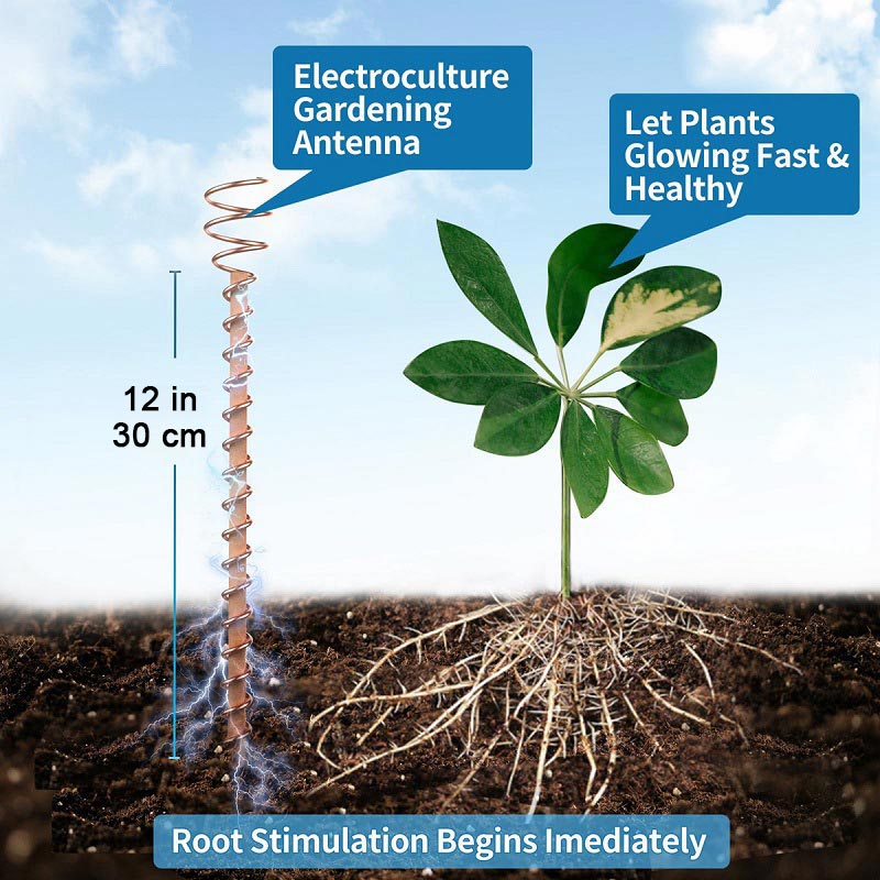 🔥 50% RABATT 🌱 Electro Culture Kopparantenn med enkel tråd – naturlig energi för starkare växttillväxt & grönare trädgård ✨