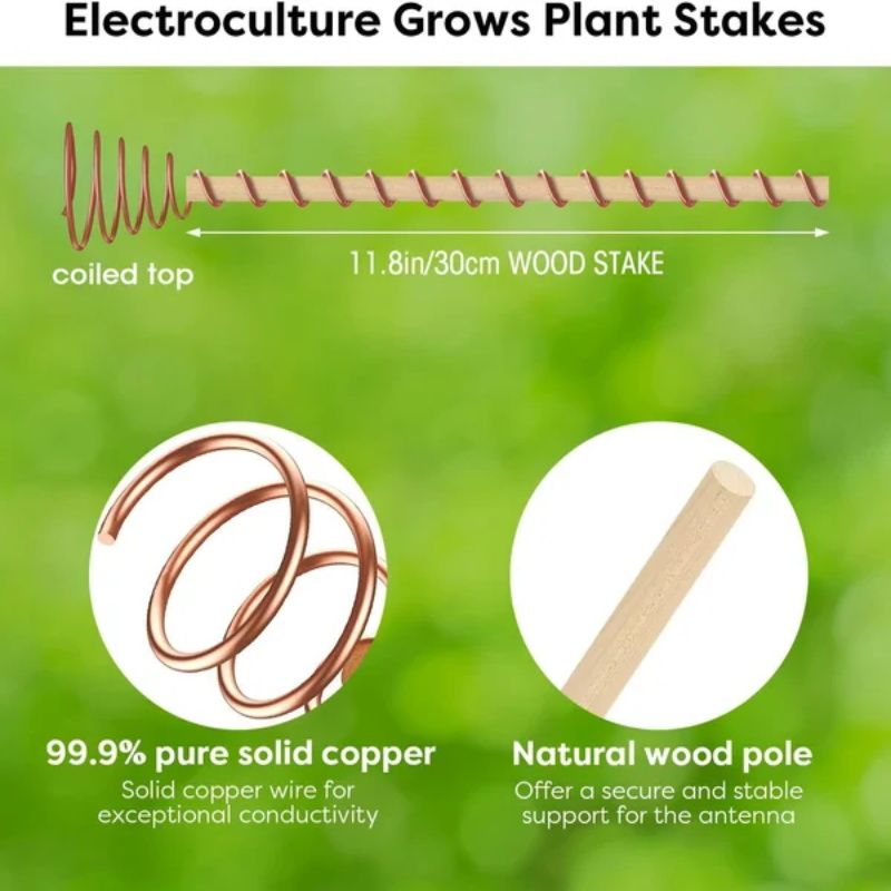 🔥 50% RABATT 🌱 Electro Culture Kopparantenn med enkel tråd – naturlig energi för starkare växttillväxt & grönare trädgård ✨