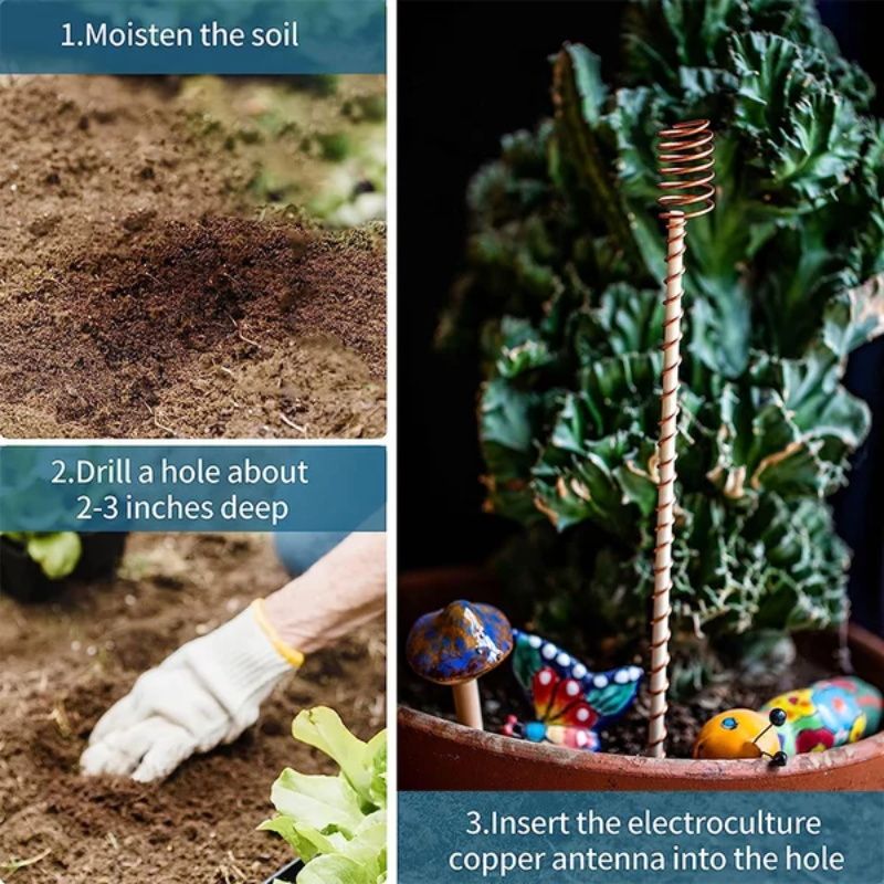 🔥 50% RABATT 🌱 Electro Culture Kopparantenn med enkel tråd – naturlig energi för starkare växttillväxt & grönare trädgård ✨