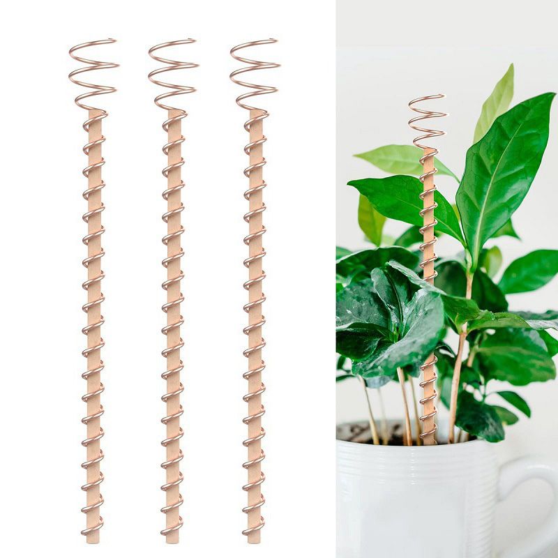 🔥 50% RABATT 🌱 Electro Culture Kopparantenn med enkel tråd – naturlig energi för starkare växttillväxt & grönare trädgård ✨