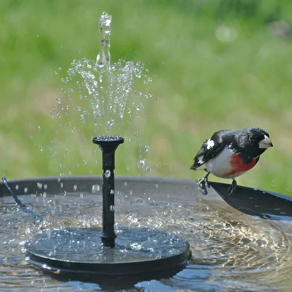 🔥Hot Sales 50% RABATT🔥🔥Soldrivna fågelfontäner🐦️