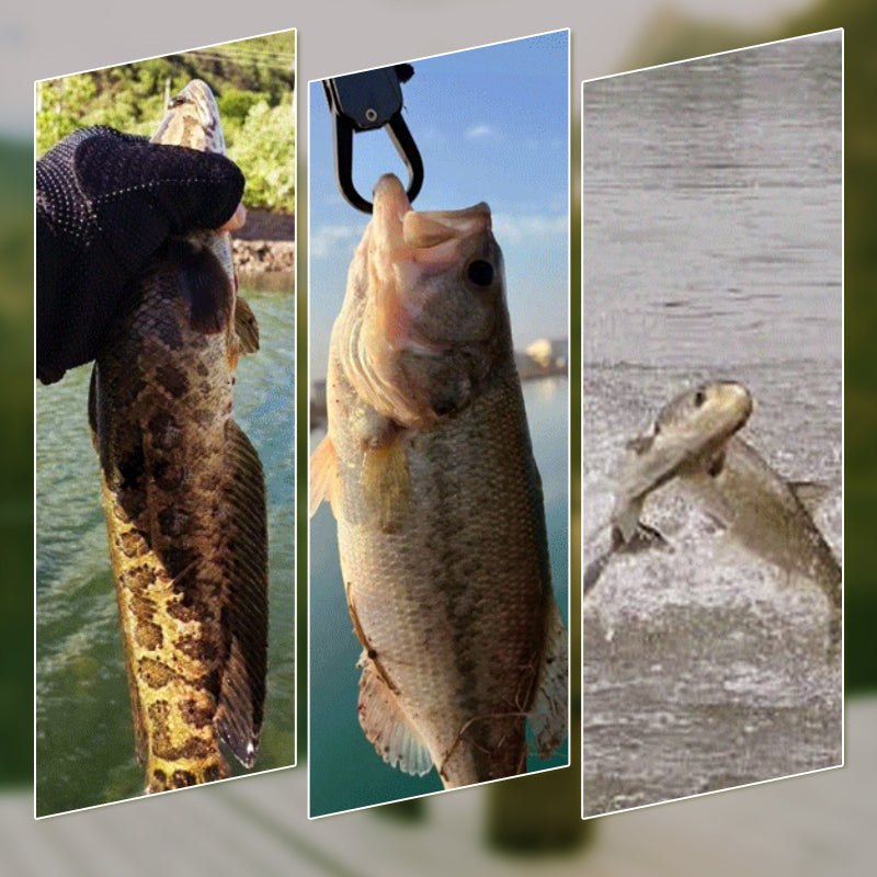 🚣 "S-Form Järnplatta – Fånga Fisk Varje Kast! 🎣🔥"