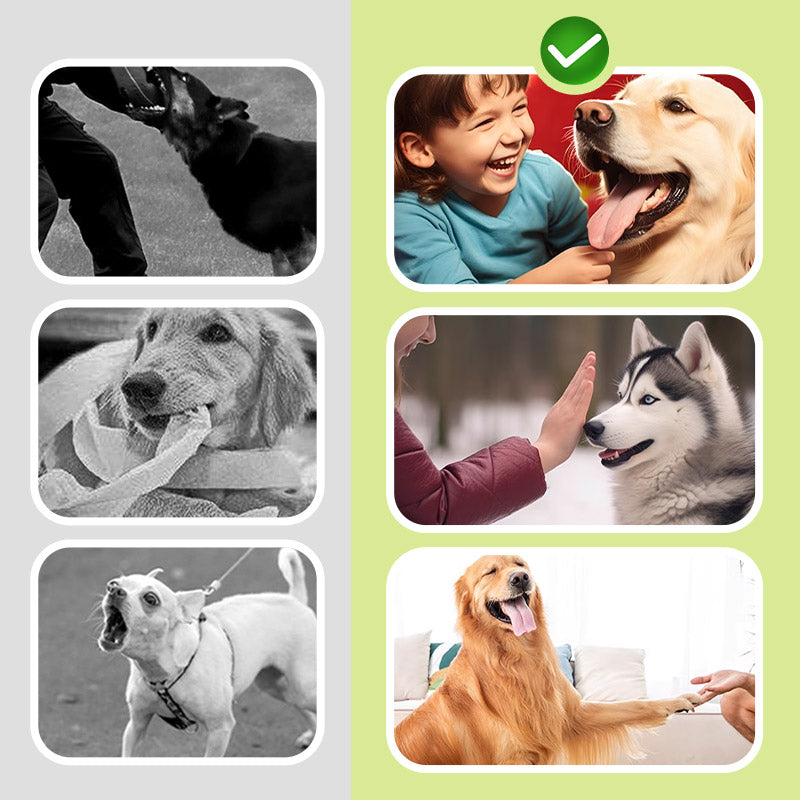 🌠Tyst följeslagare: 🐶ultraljudshundavvisare för enkla skällande problem!