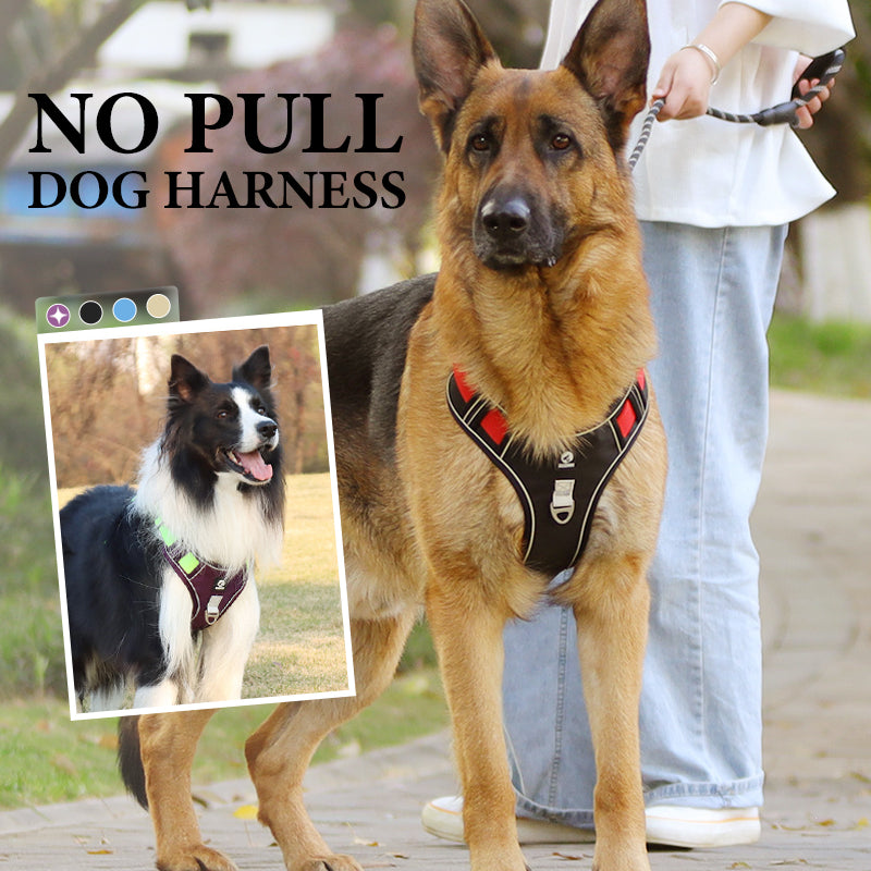 🐶 50% RABATT NU! 🛡️ Dragfri Hundsele med Koppel & LED-halsband – Säker & Bekväm ✨