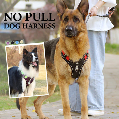 🐶 50% RABATT NU! 🛡️ Dragfri Hundsele med Koppel & LED-halsband – Säker & Bekväm ✨