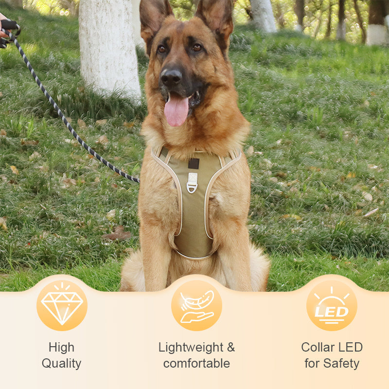 🐶 50% RABATT NU! 🛡️ Dragfri Hundsele med Koppel & LED-halsband – Säker & Bekväm ✨