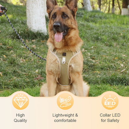 🐶 50% RABATT NU! 🛡️ Dragfri Hundsele med Koppel & LED-halsband – Säker & Bekväm ✨