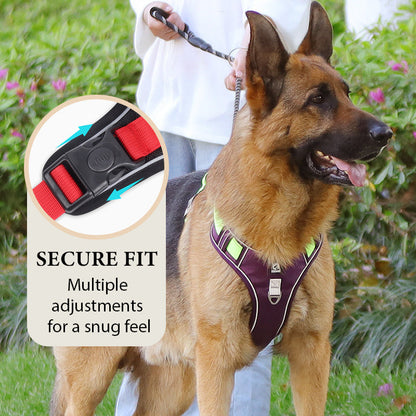 🐶 50% RABATT NU! 🛡️ Dragfri Hundsele med Koppel & LED-halsband – Säker & Bekväm ✨