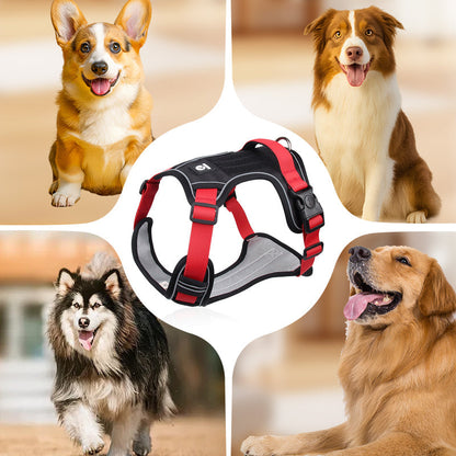 🐶 50% RABATT NU! 🛡️ Dragfri Hundsele med Koppel & LED-halsband – Säker & Bekväm ✨
