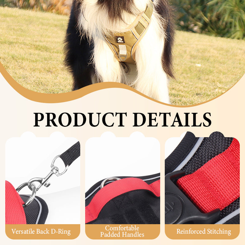 🐶 50% RABATT NU! 🛡️ Dragfri Hundsele med Koppel & LED-halsband – Säker & Bekväm ✨