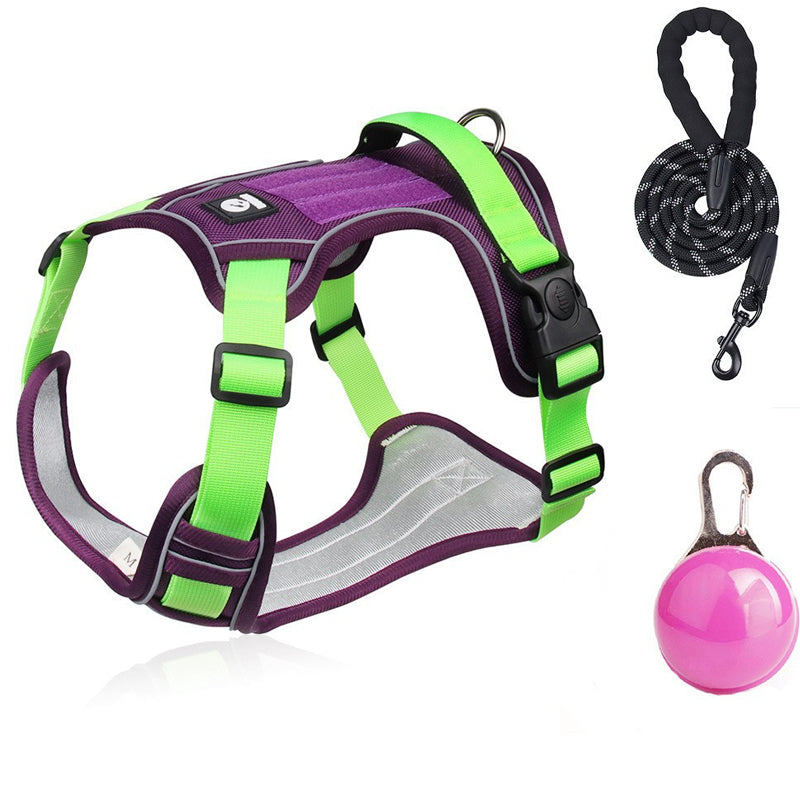 🐶 50% RABATT NU! 🛡️ Dragfri Hundsele med Koppel & LED-halsband – Säker & Bekväm ✨